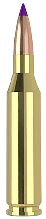 Nosler .243 Winchester 70gr – 20rd
