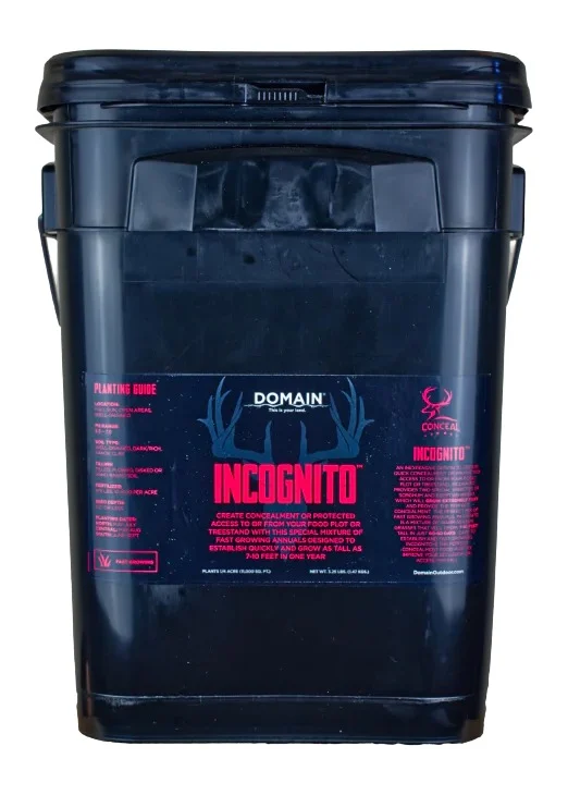 DOMAIN INCFP325 INCOGNITO