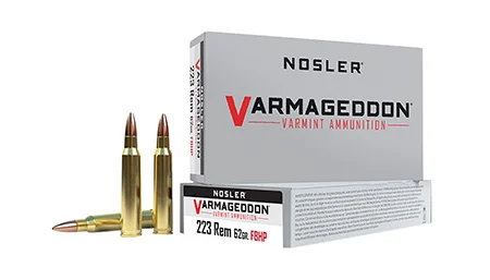 Nosler .223 Remington 62gr Brass – 20rd