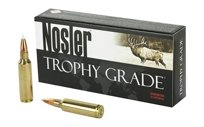 Nosler .300 WSM 180gr ACCUBOND Brass – 20rd